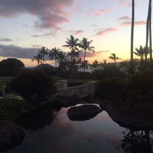 Meet your Posher, Ingrid